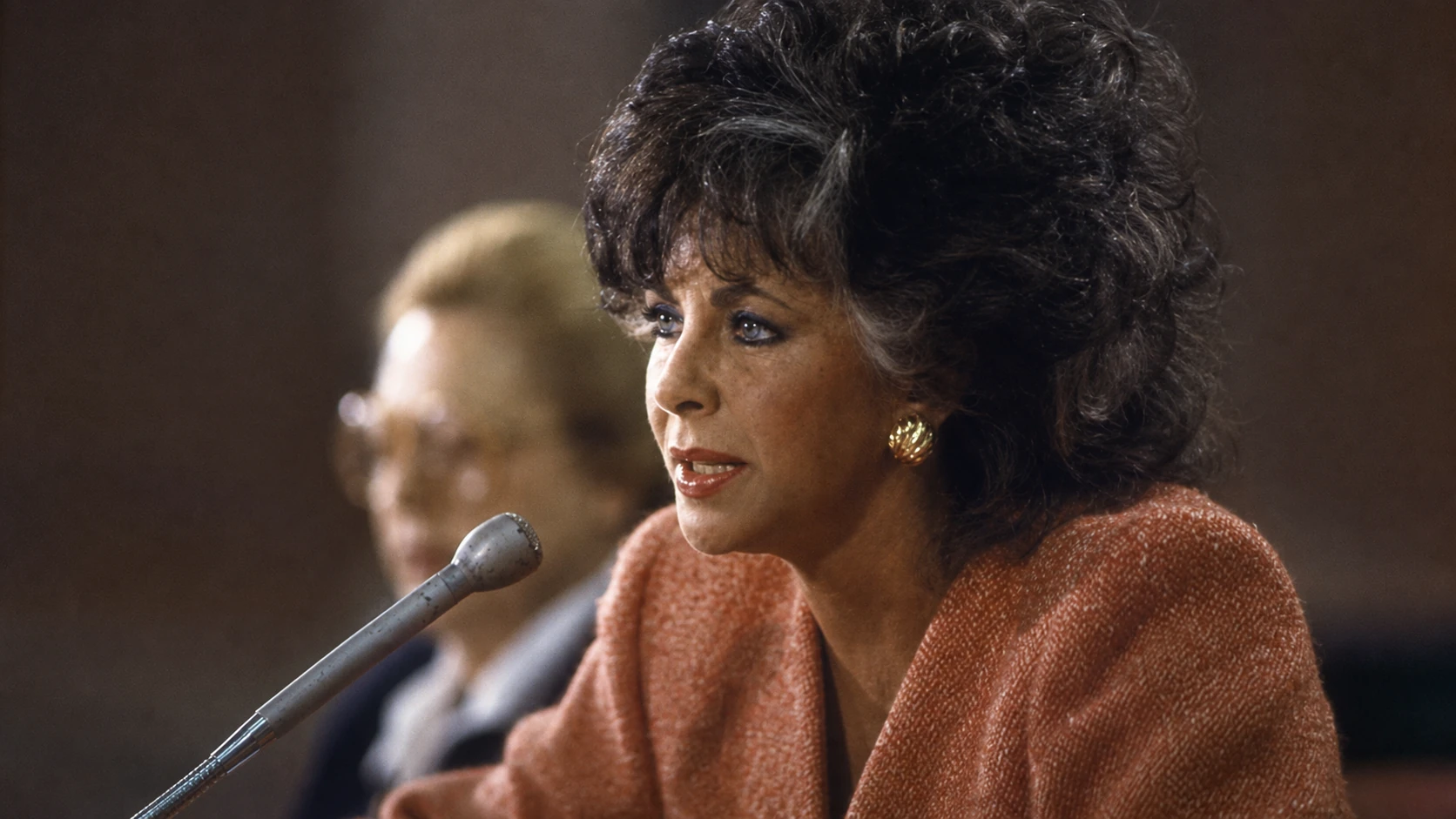 Helping form amfAR - karen lynch and elizabeth taylor